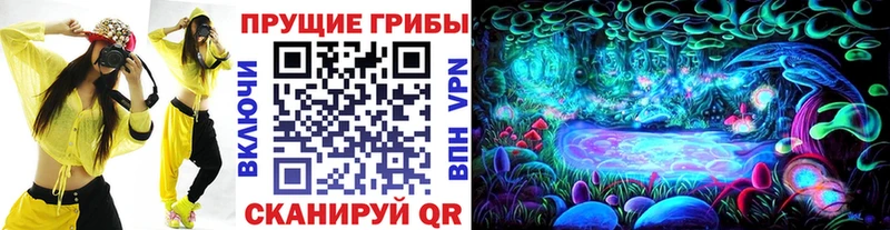 Купить закладки  Короча  Псилоцибиновые грибы Psilocybine cubensis 